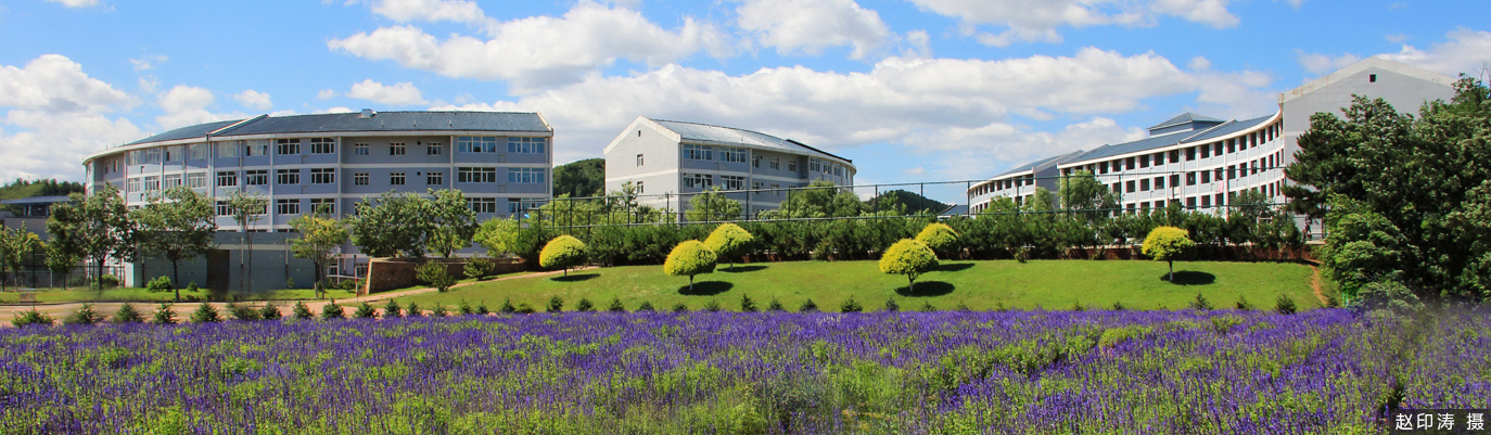 Student activities Chengde Medical University