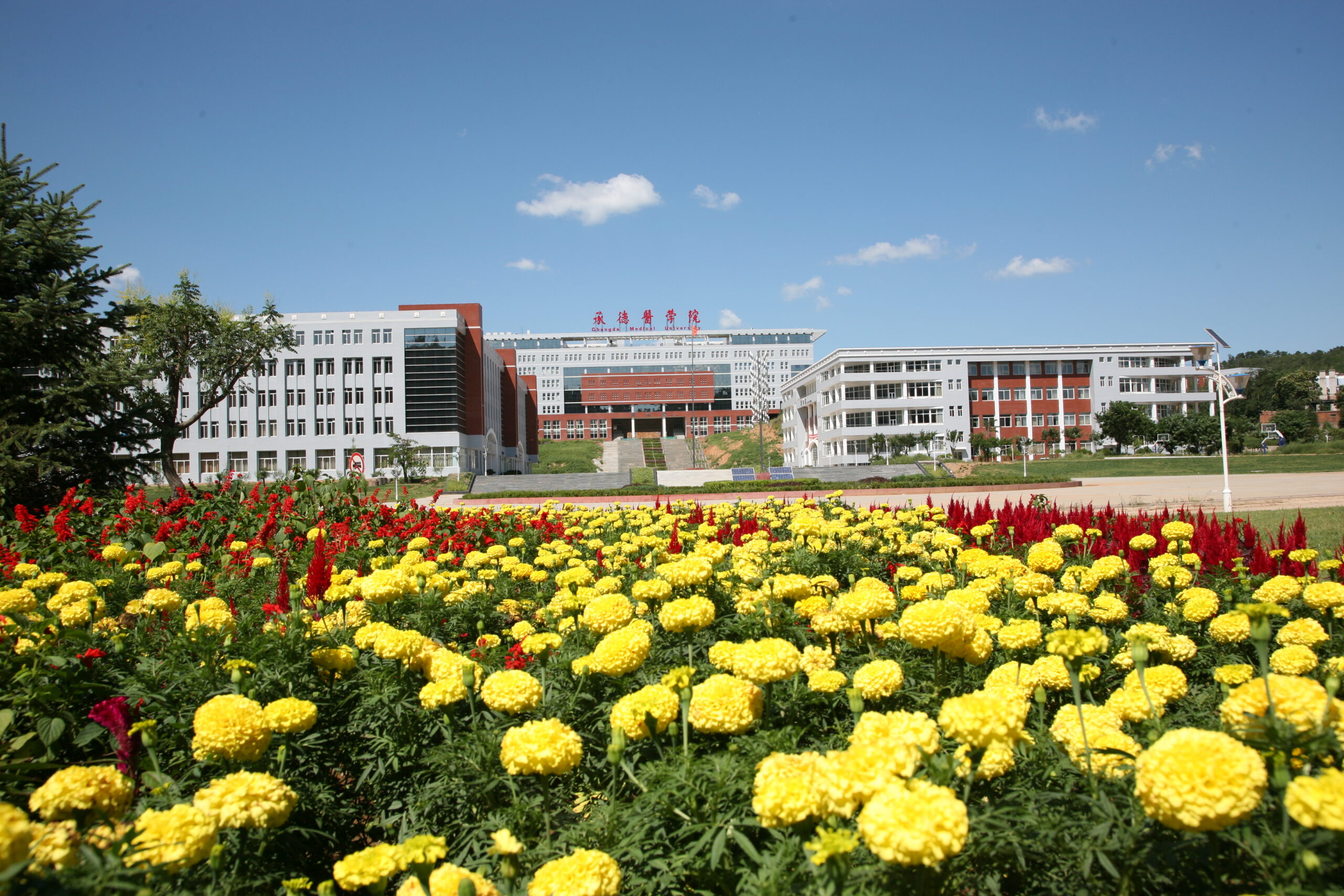 MBBS Admission in china top ranked university, chengde medical university, lowest MBBS tuition fee, top ranked medical university